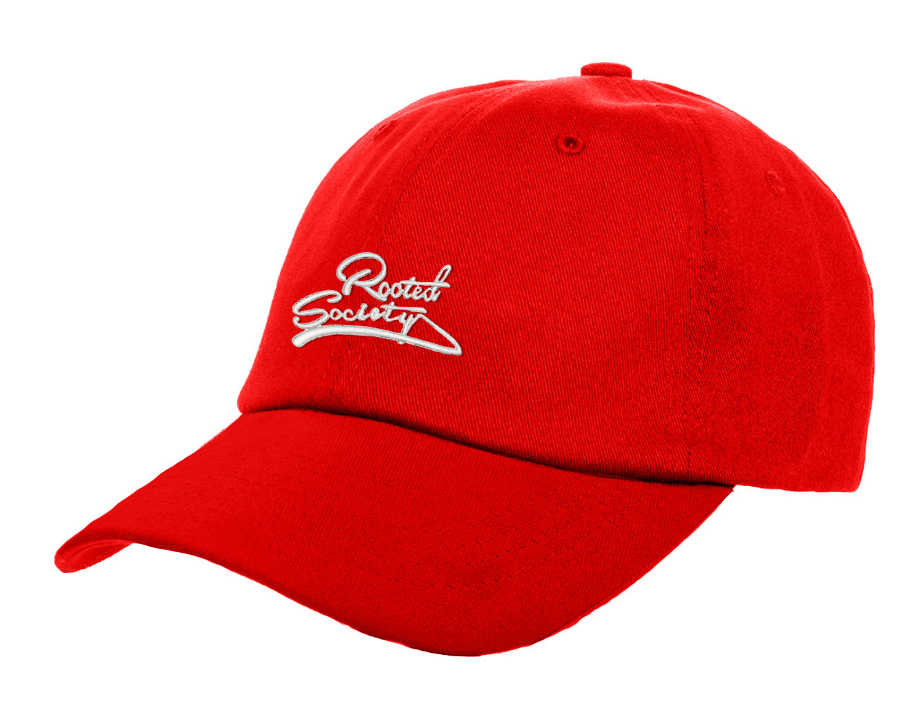 RS Dad Hat